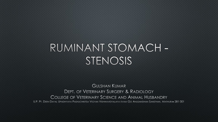ruminant stomach stenosis