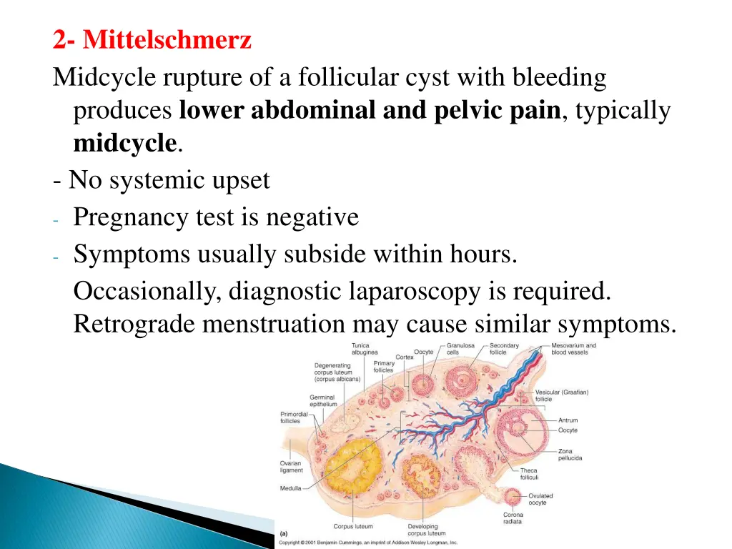 2 mittelschmerz midcycle rupture of a follicular