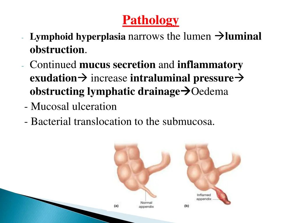 pathology