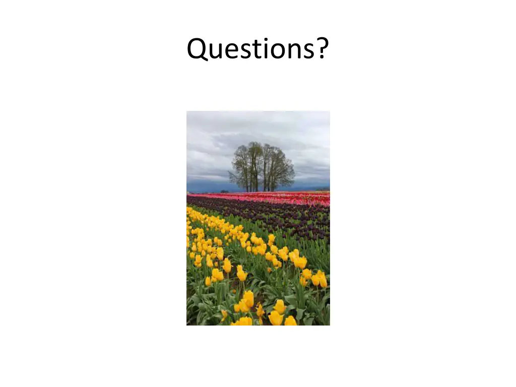 questions