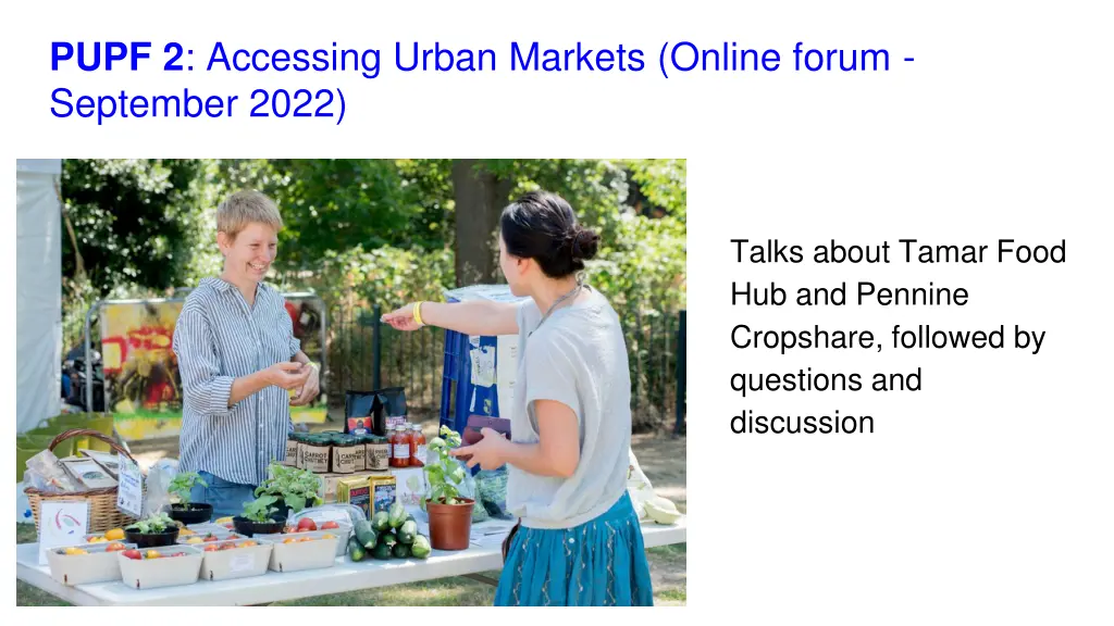pupf 2 accessing urban markets online forum