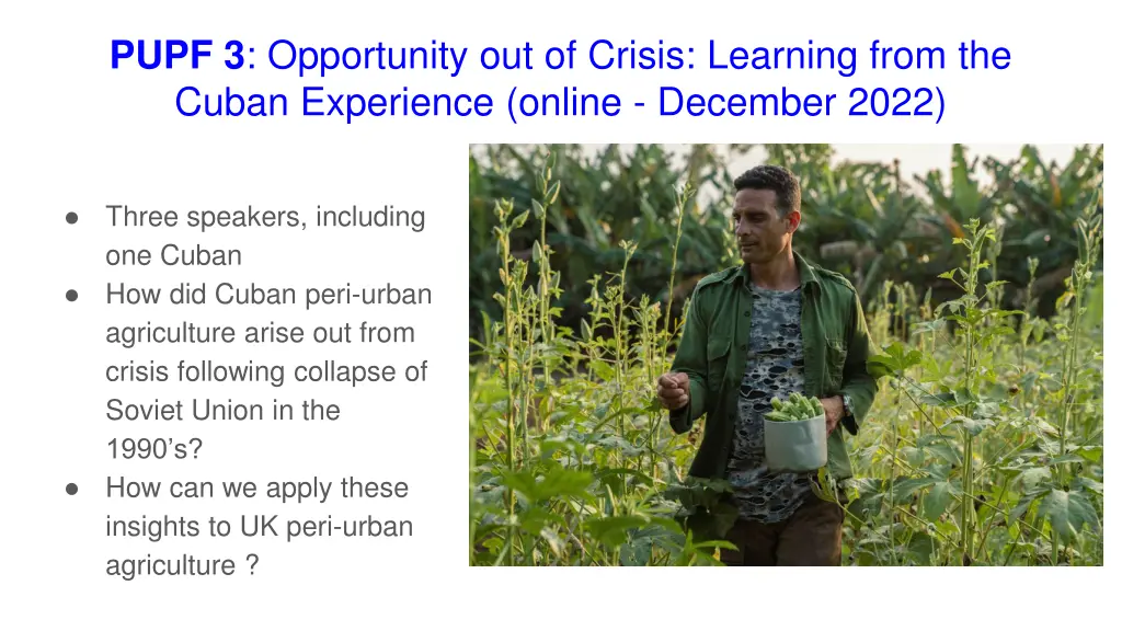 pupf 3 opportunity out of crisis learning from
