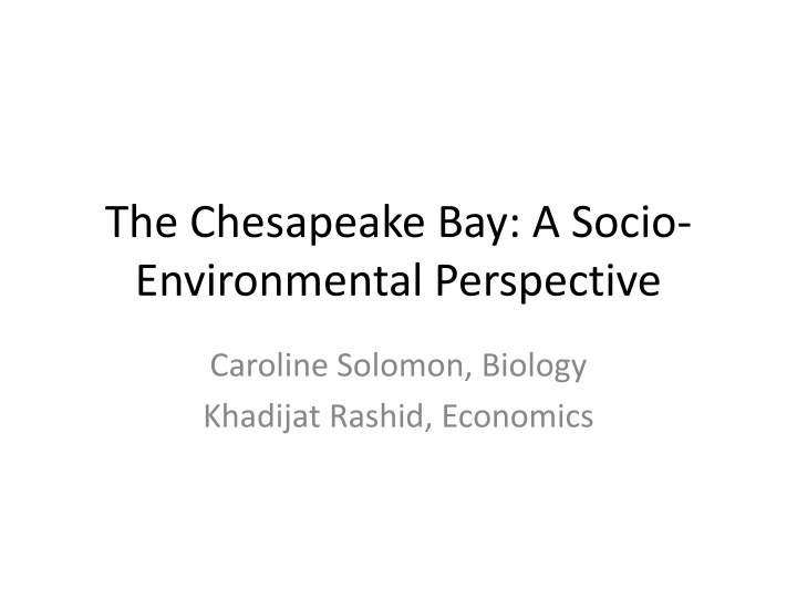 the chesapeake bay a socio environmental