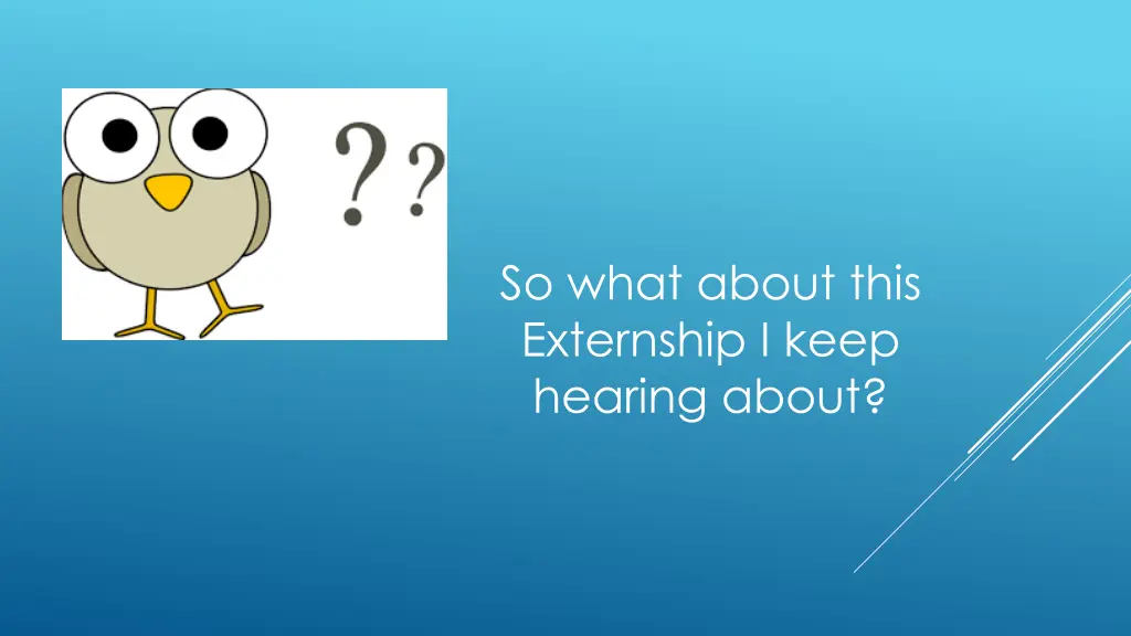 so what about this externship i keep hearing about