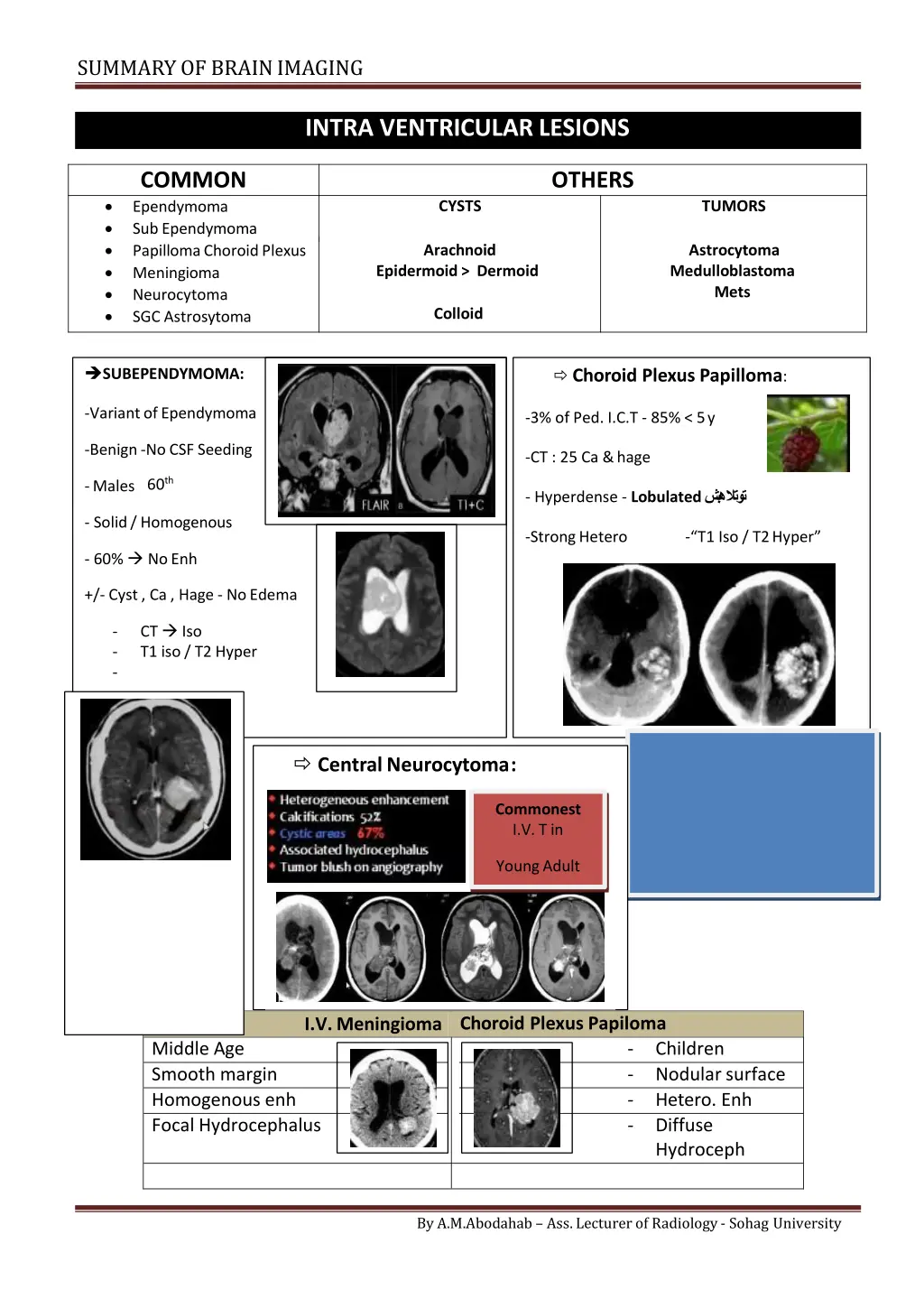 summary of brainimaging 10