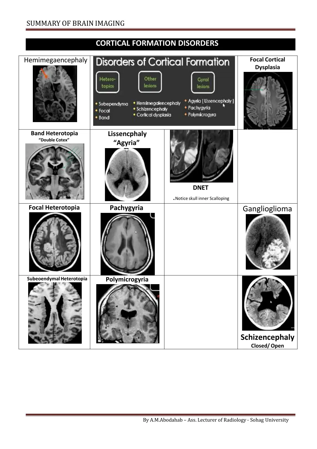 summary of brainimaging 11