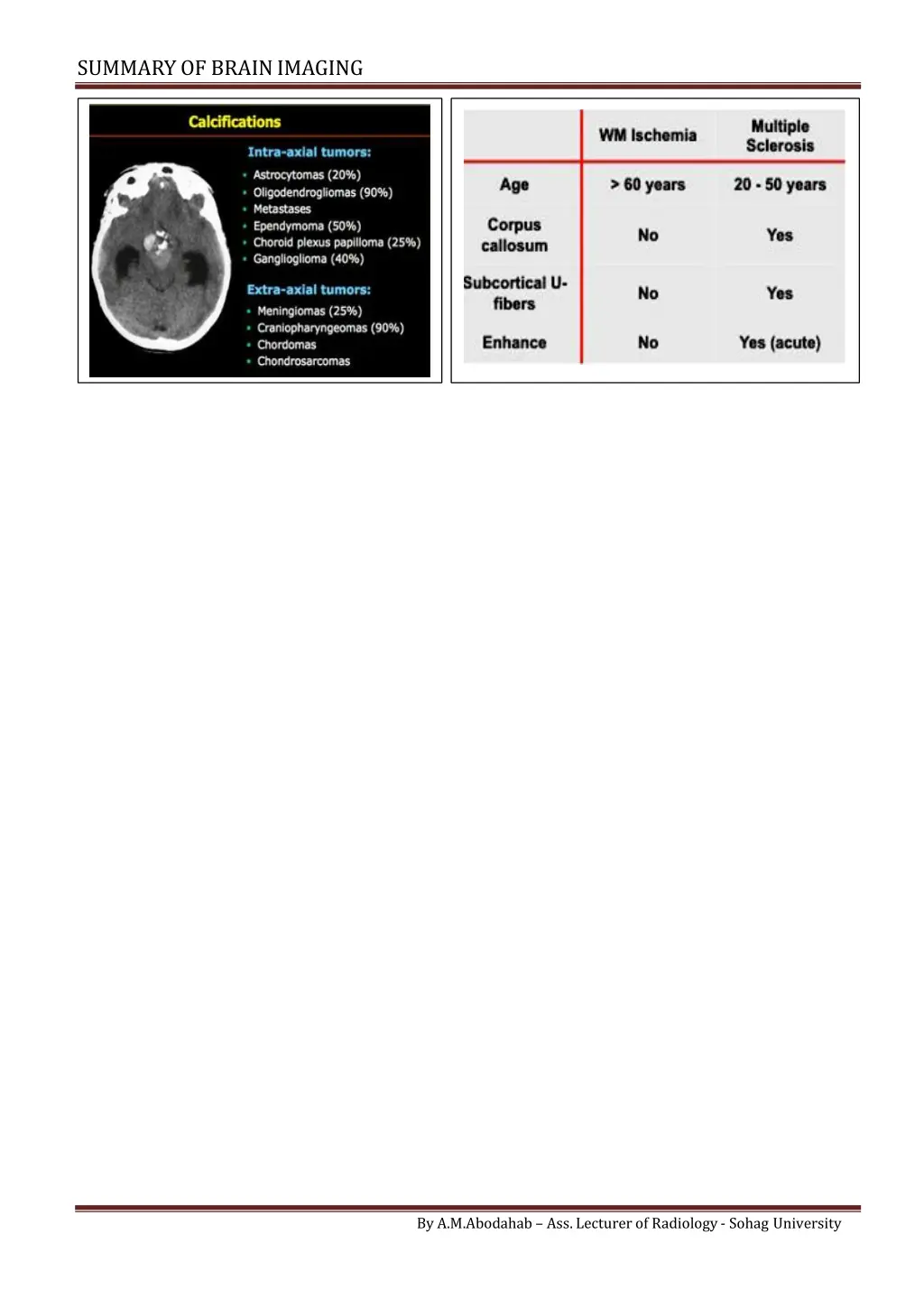 summary of brainimaging 12