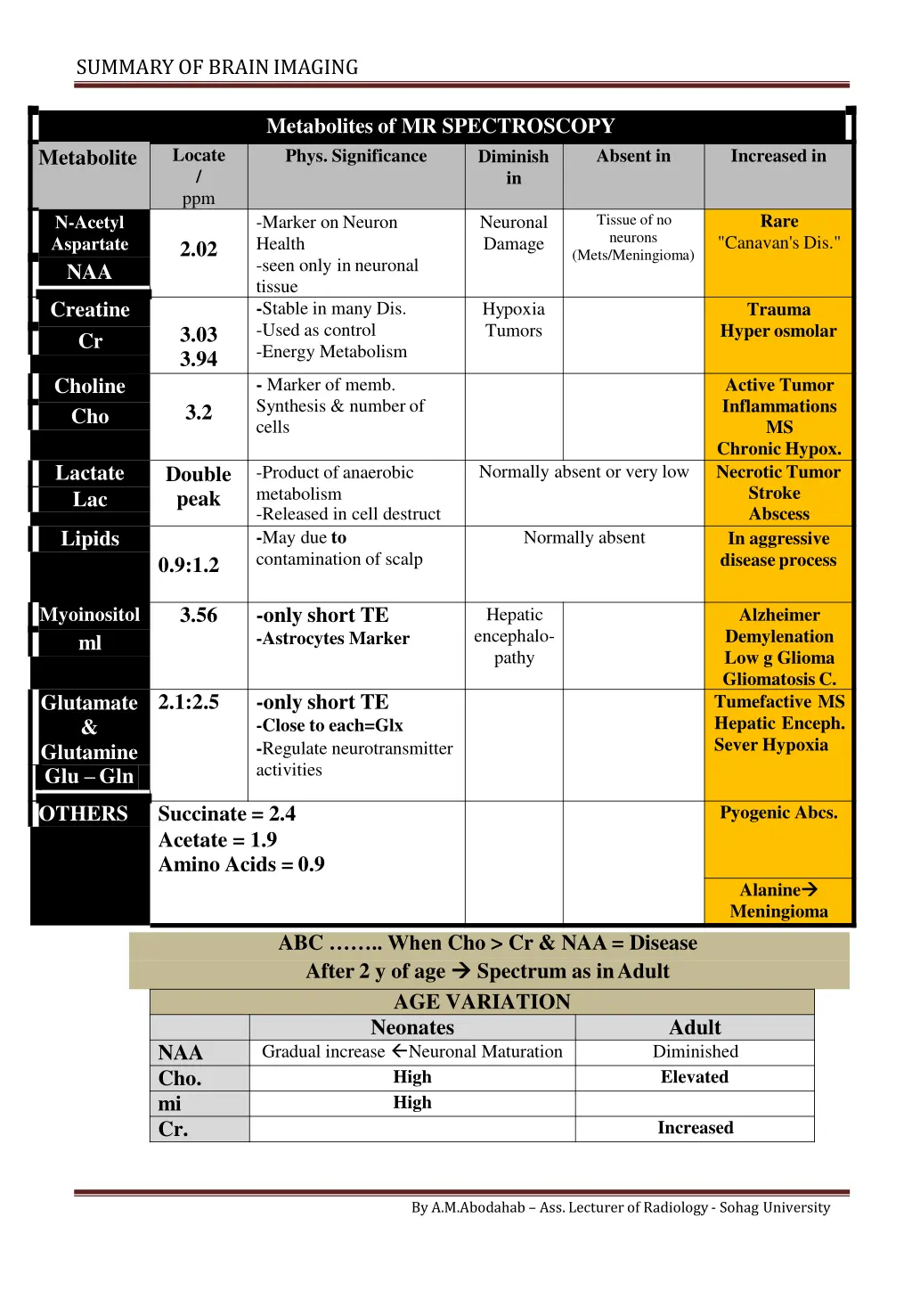 summary of brainimaging 13