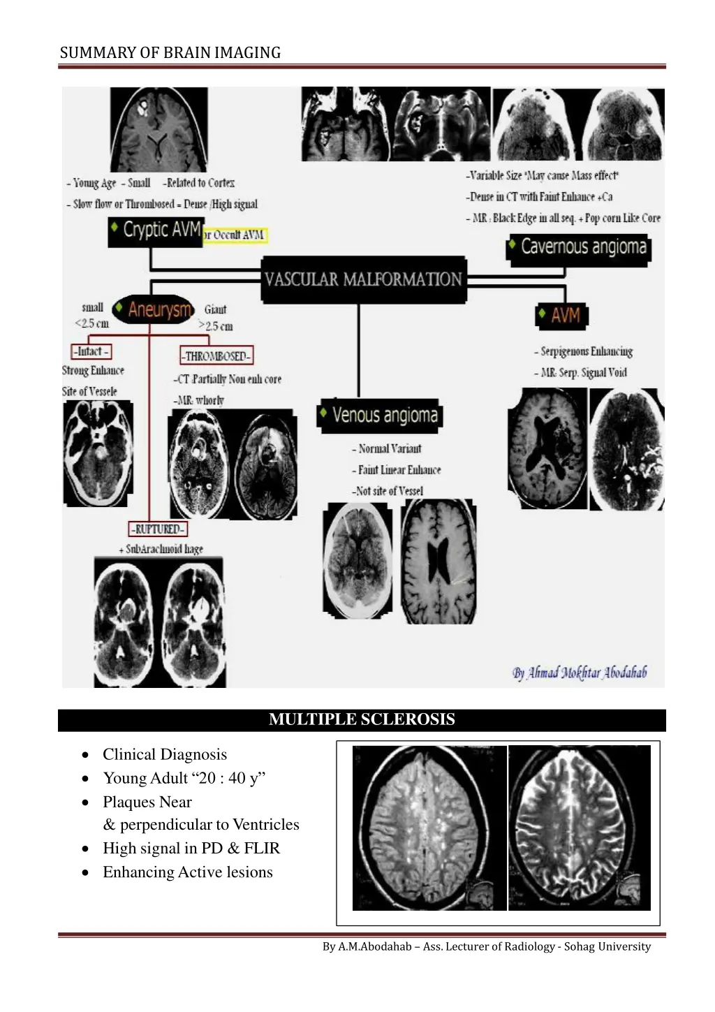 summary of brainimaging 3
