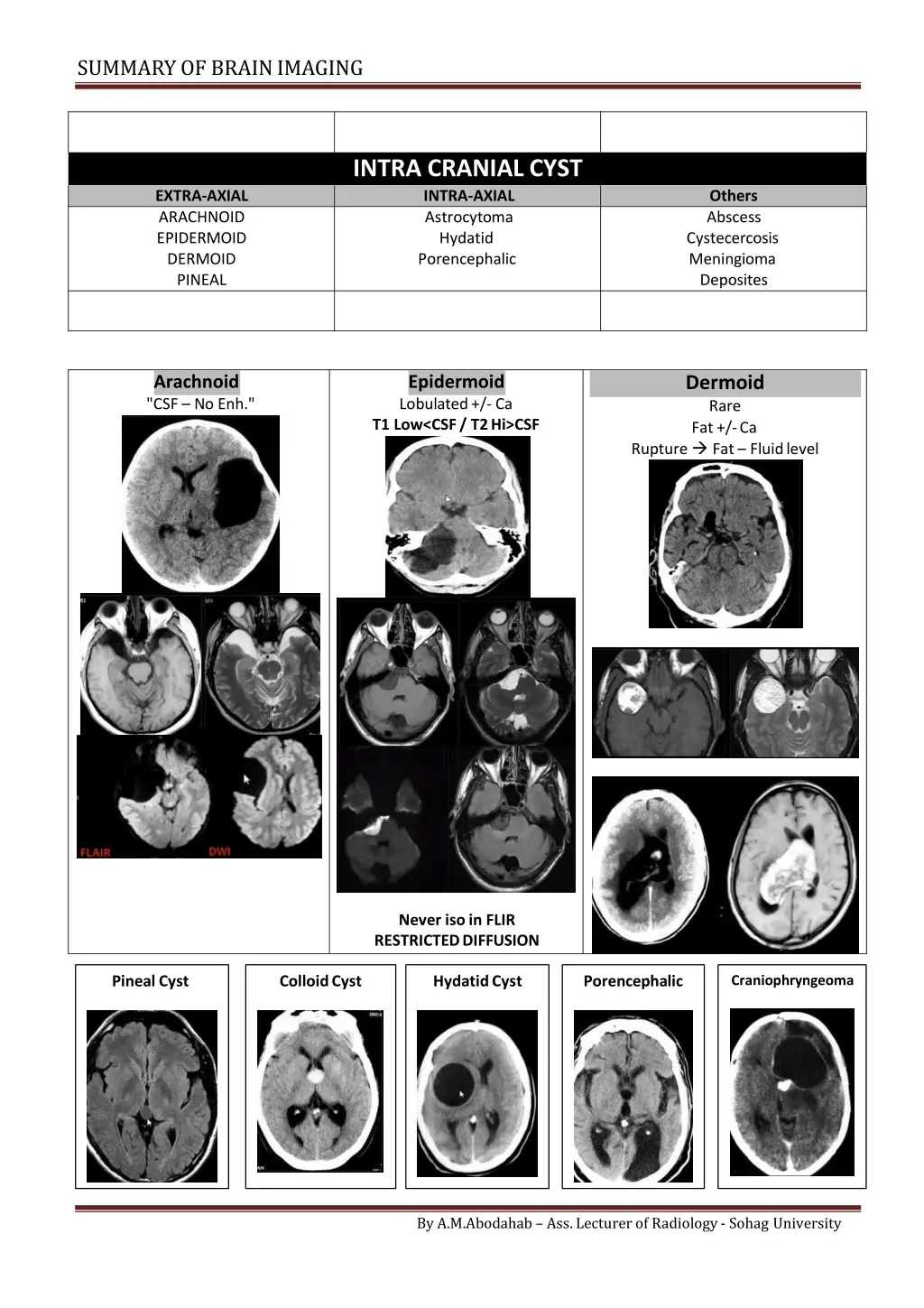 summary of brainimaging 6
