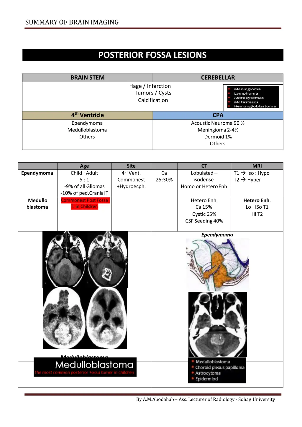 summary of brainimaging 7