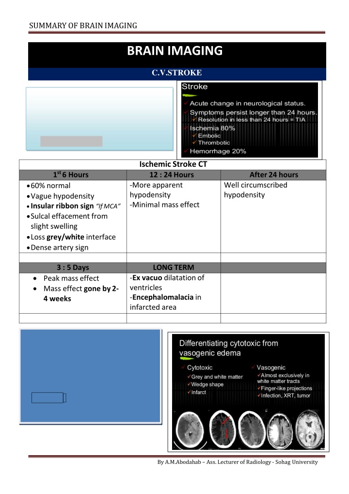 summary of brainimaging