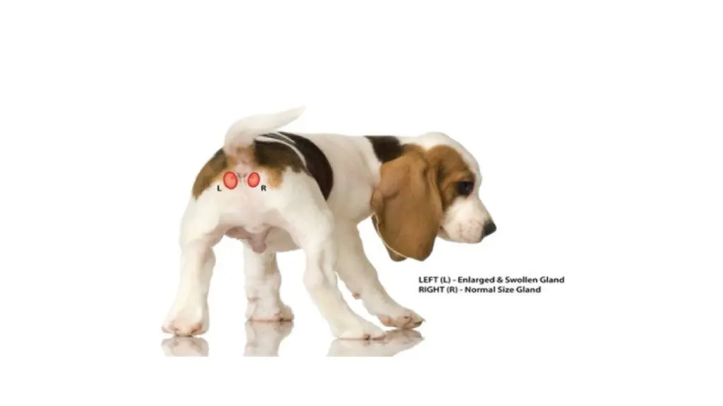 slide10
