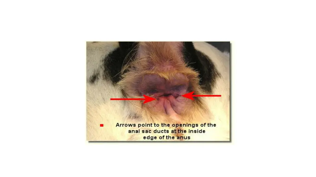 slide11