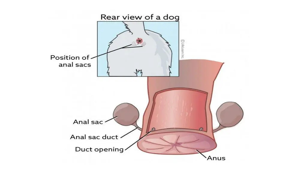 slide7