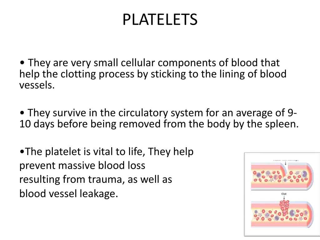 platelets