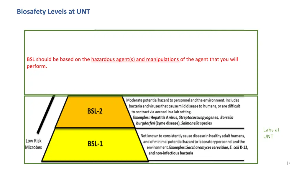 biosafety levels at unt