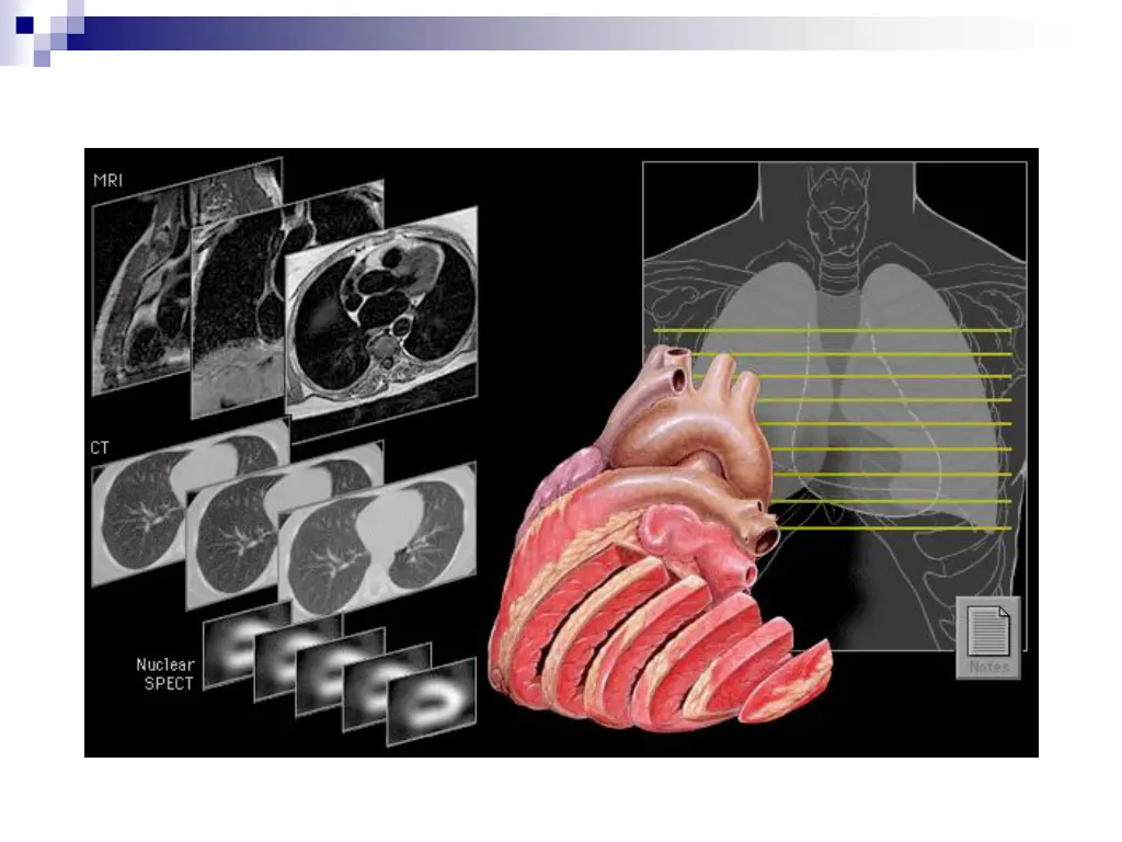 slide7
