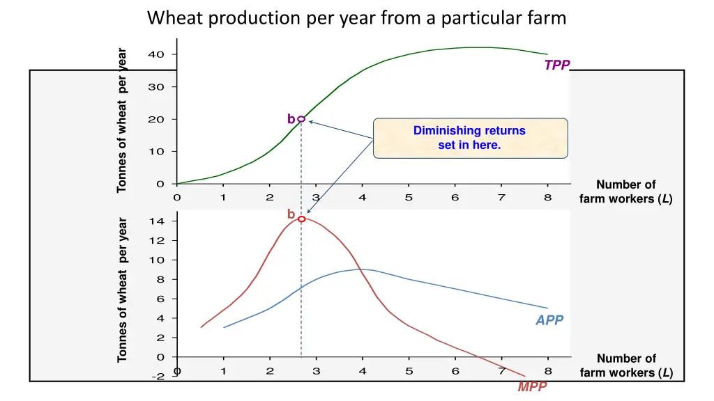 wheat production per year from a particular farm 3
