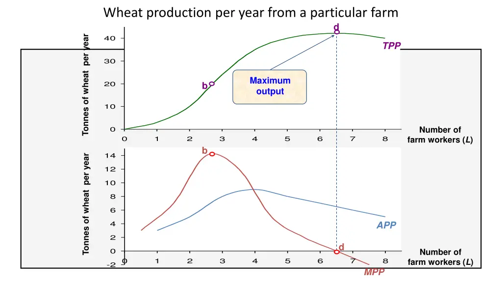 wheat production per year from a particular farm 4