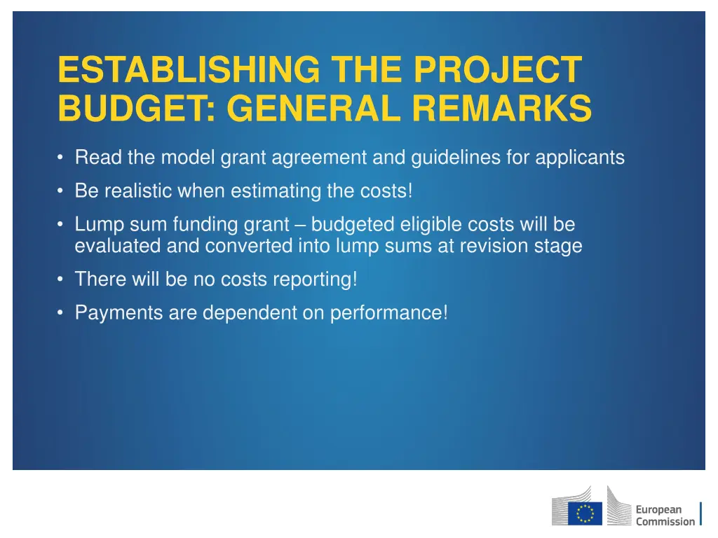 establishing the project budget general remarks