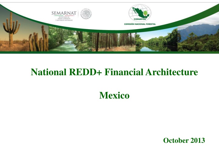 national redd financial architecture