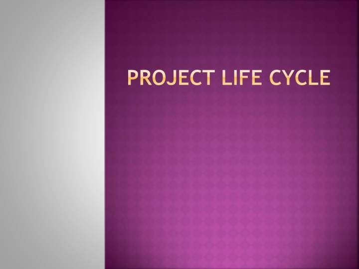 project life cycle