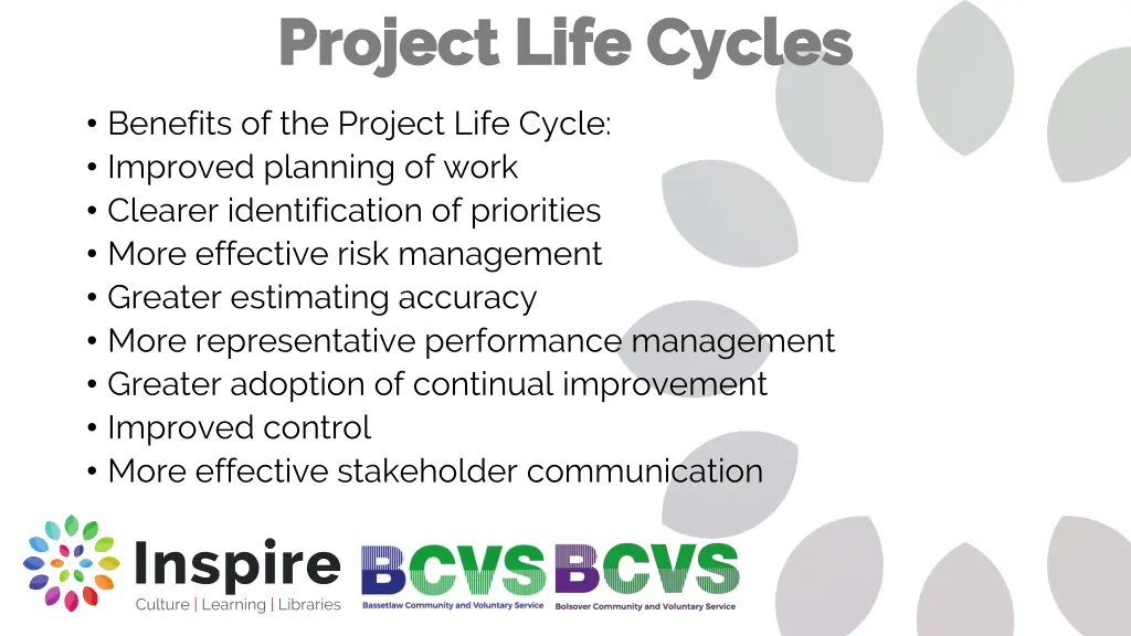 project life cycles project life cycles
