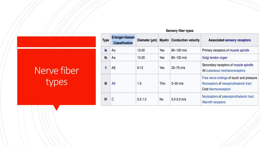 nerve fiber types