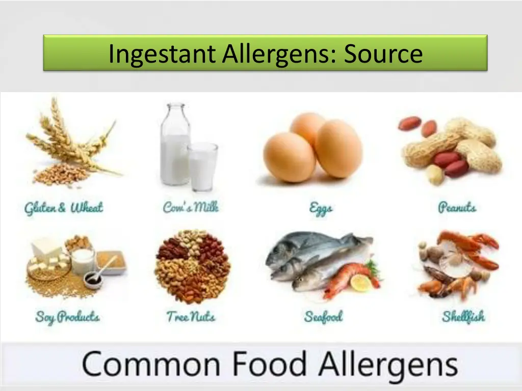 ingestant allergens source