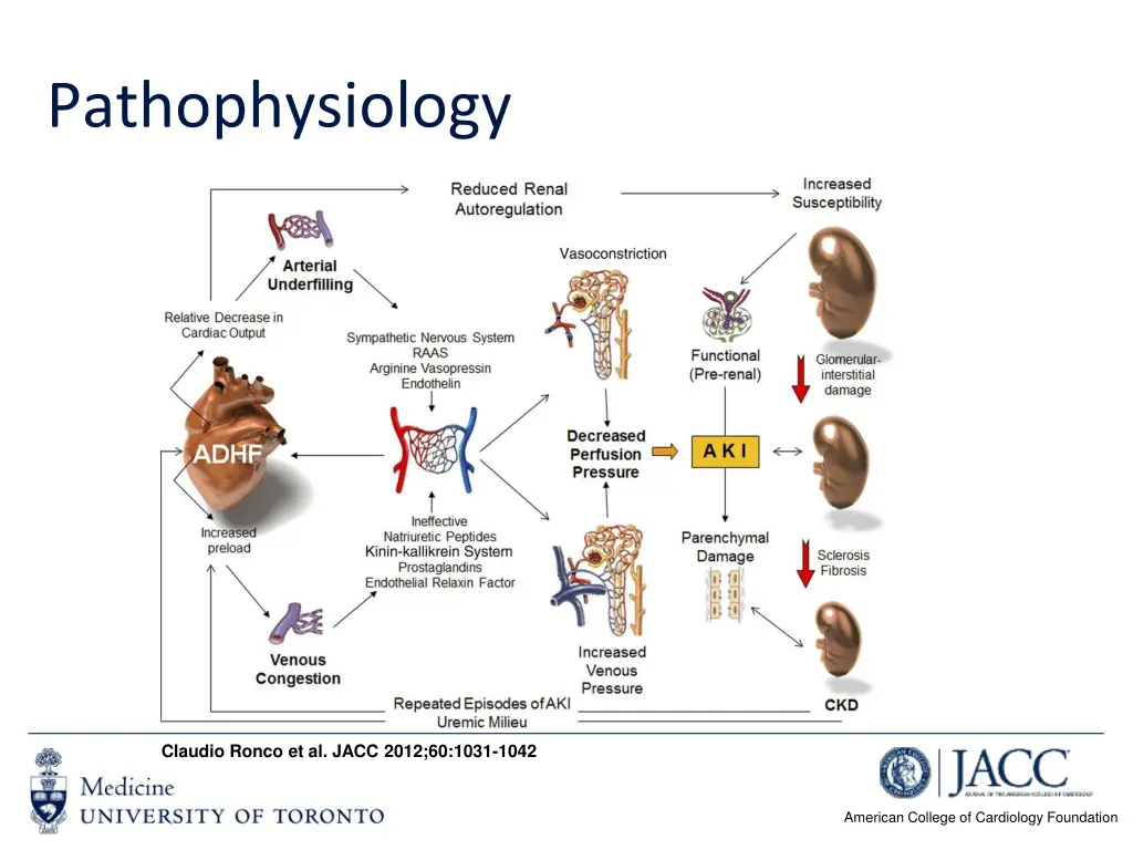 pathophysiology