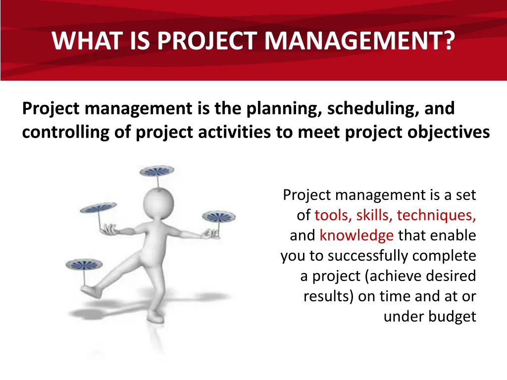 what is project management