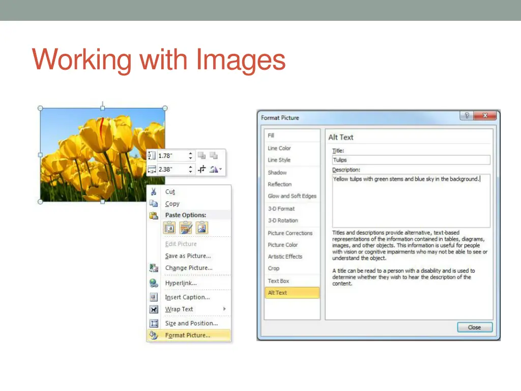 working with images