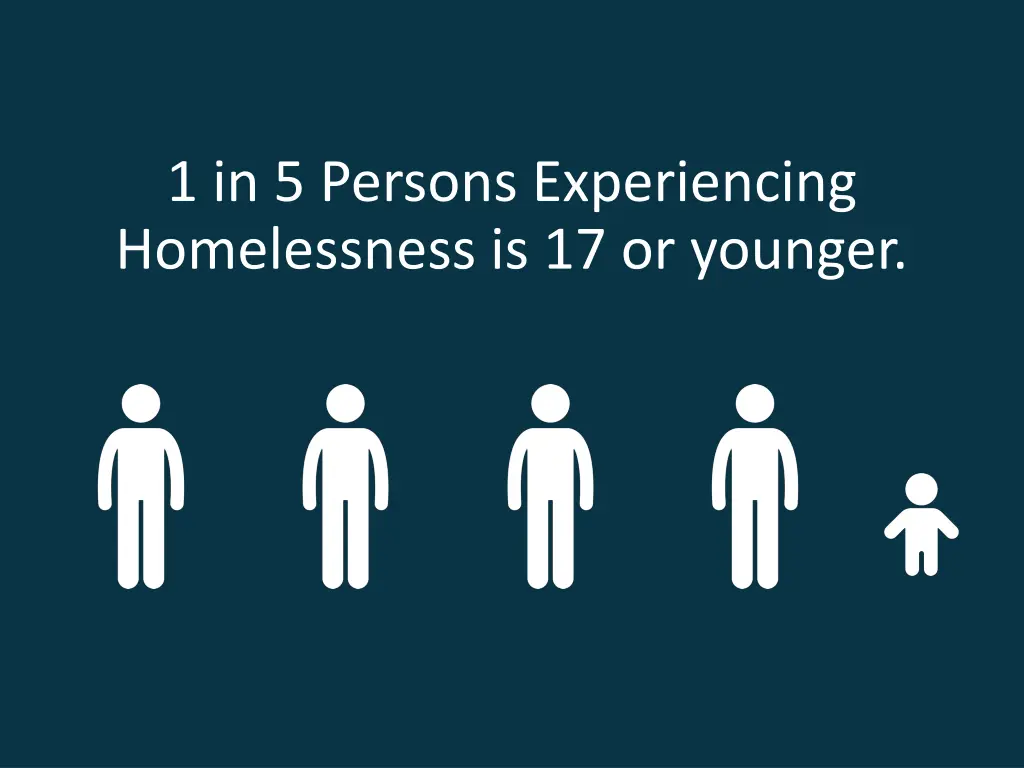1 in 5 persons experiencing homelessness