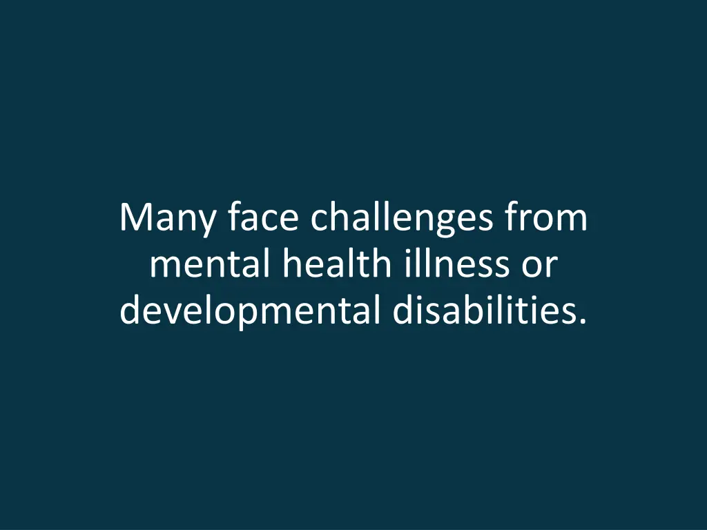 many face challenges from mental health illness