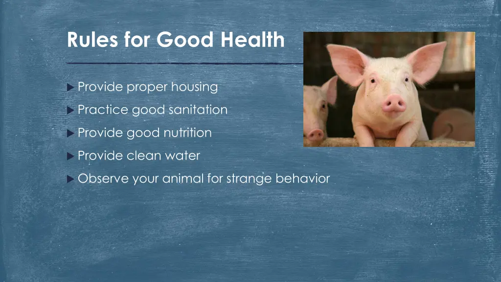 rules for good health