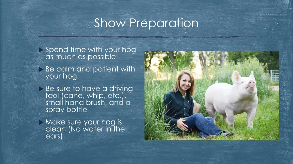 show preparation