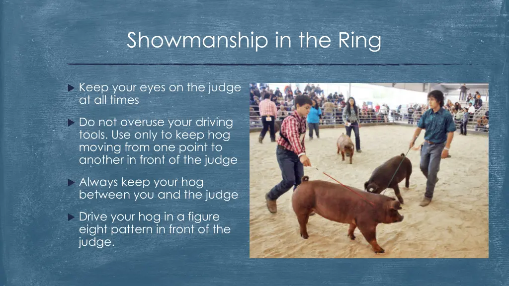 showmanship in the ring