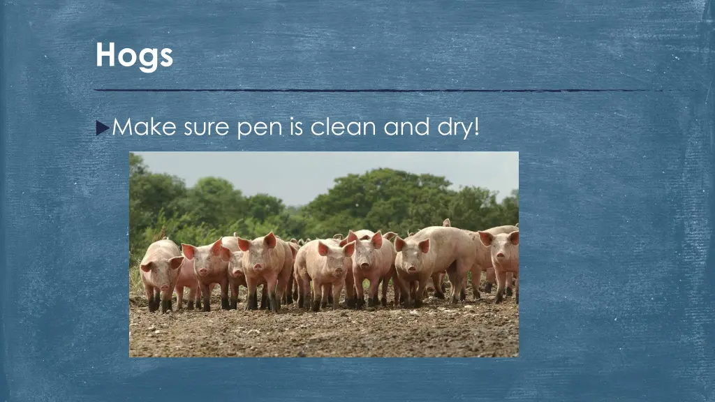 slide4