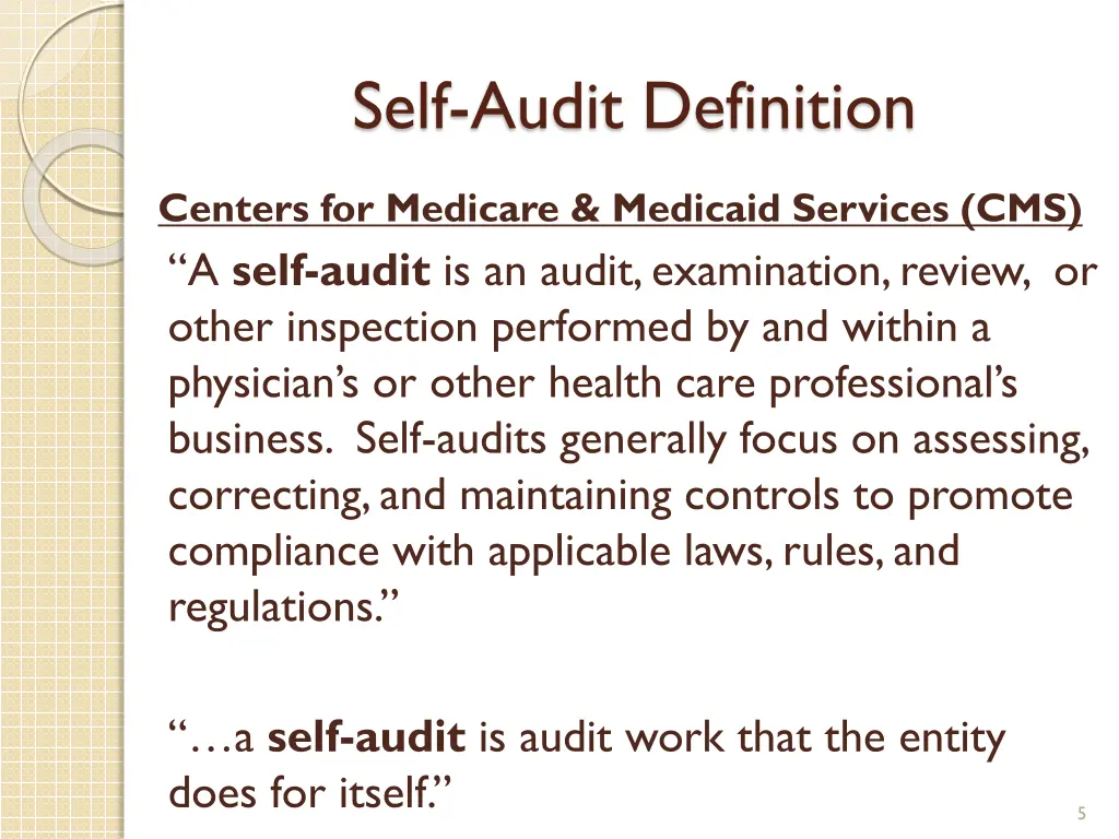 self audit definition