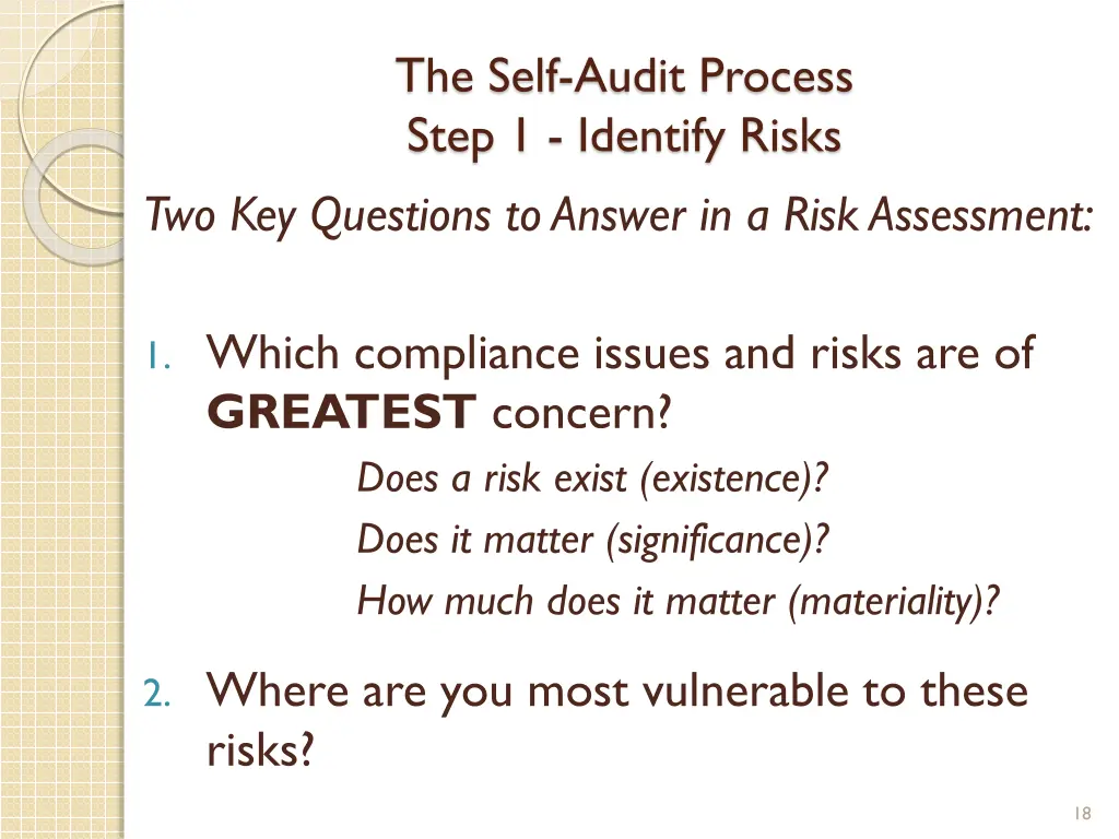 the self audit process step 1 identify risks 1