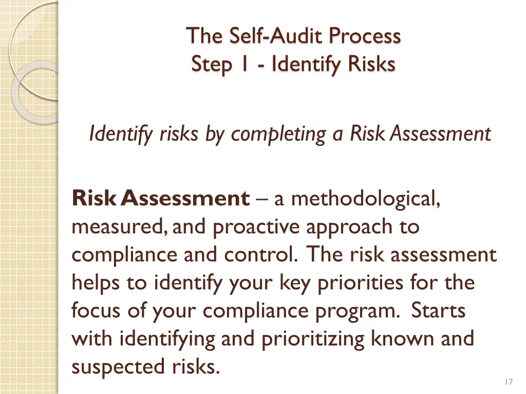 the self audit process step 1 identify risks