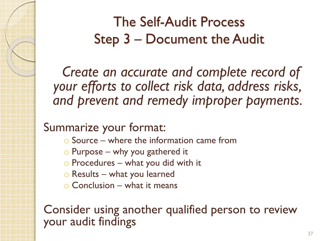 the self audit process step 3 document the audit