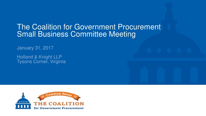 the coalition for government procurement small