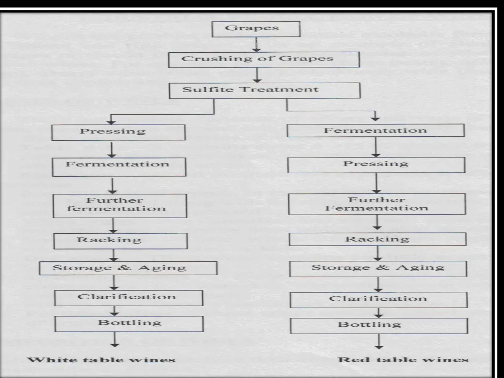 slide16