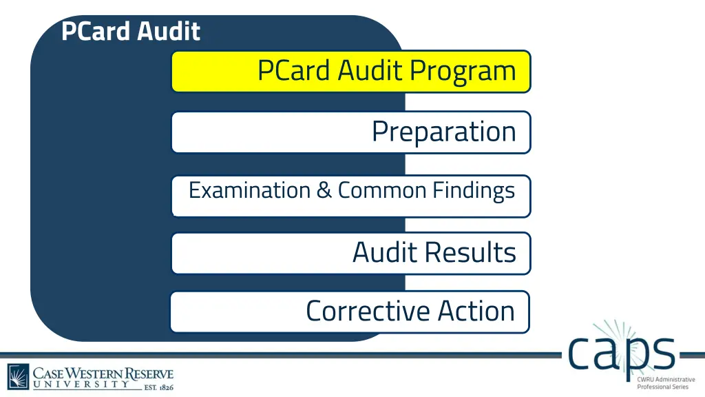 pcard audit 1