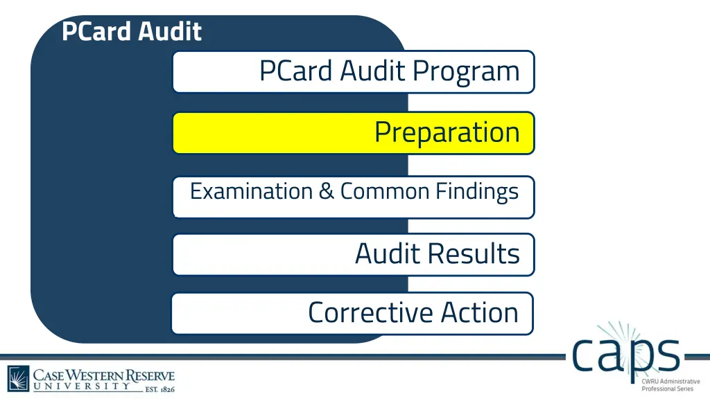 pcard audit 2