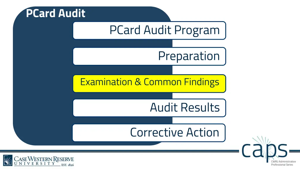 pcard audit 3