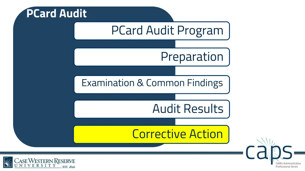 pcard audit 5