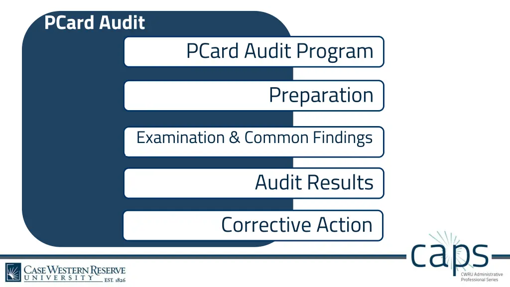 pcard audit